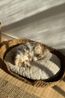 Panier pour chien, grand, jonc de mer, 90 x 70 x 18 cm