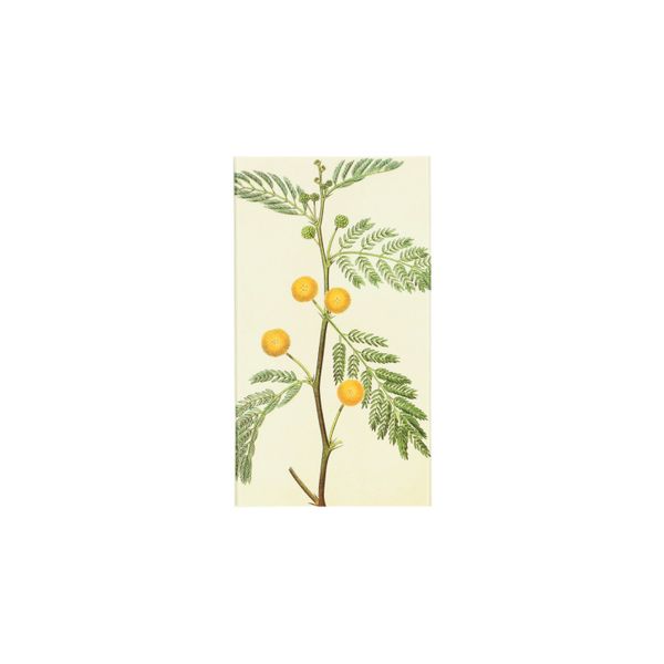 Lucifers, gele bloemen Lucifers, gele bloemen