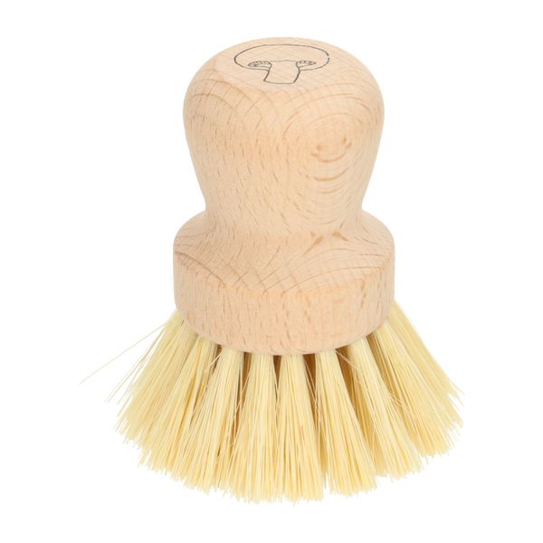 Beechwood and tampico mushroom brush