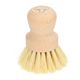 Beechwood and tampico mushroom brush