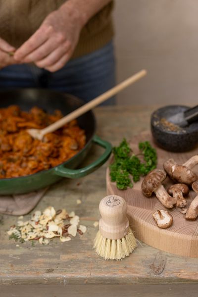 Brosse à champignons, bois de hêtre et fibres tampico