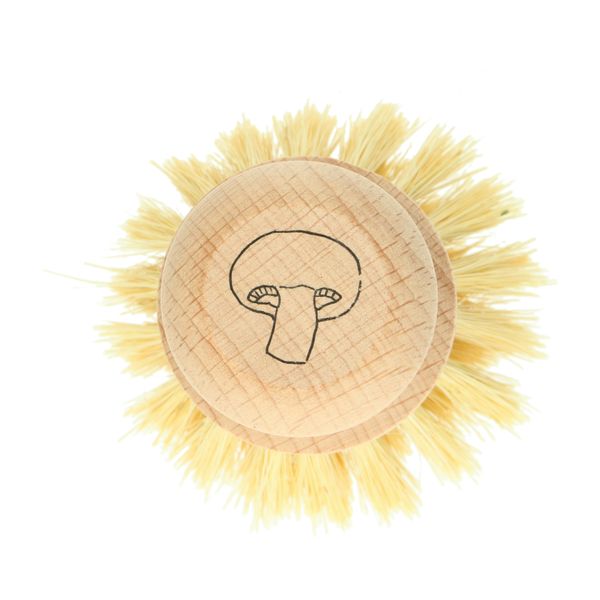 Beechwood and tampico mushroom brush