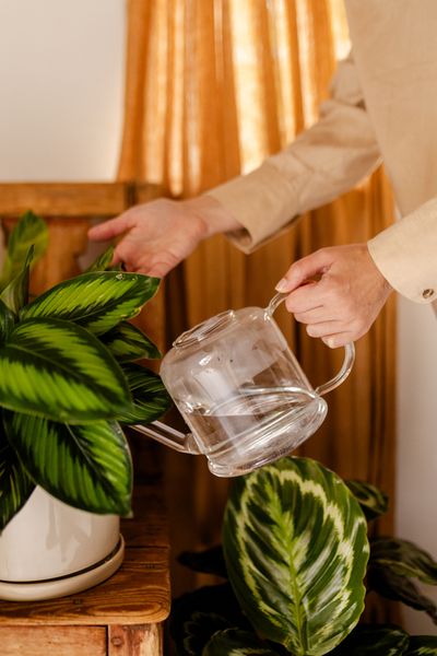 Zimmerpflanzen-Gießkanne, Glas, 1,5 l