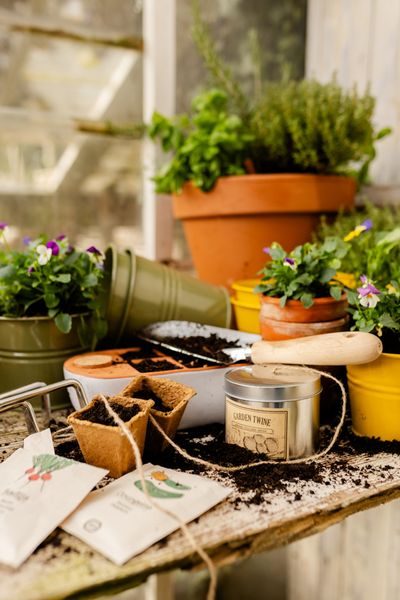 Plateau de culture avec réservoir à eau, terre cuite, 20 x 11 cm