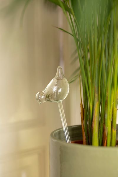 Waserspender, Vogel aus Glas, 10 x 6 x 36 cm Waserspender, Vogel aus Glas, 10 x 6 x 36 cm