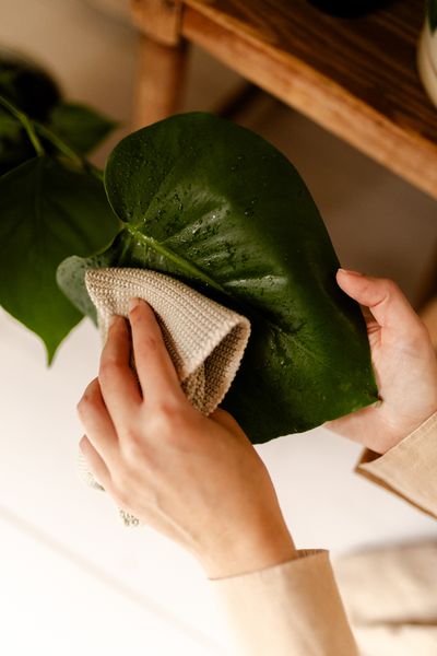 Lavettes, coton tricoté, sable, 2 pièces, 25 x 25 cm