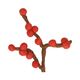 Branche de Noël, baies rouges, feutrine, env. 60 cm