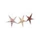 Set of 3 miniature, fold-out Christmas stars, Ø approx. 13 cm