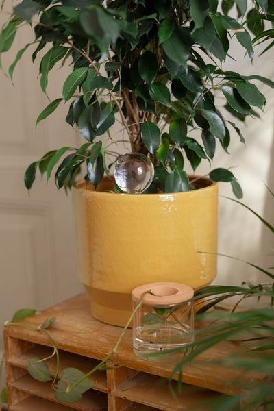 Bloempot 'Pato', aardewerk, karamel, Ø29 cm Bloempot 'Pato', aardewerk, karamel, Ø29 cm