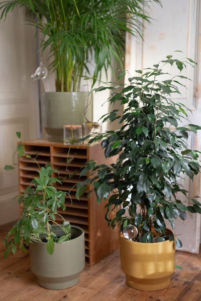 Bloempot 'Pato', aardewerk, karamel, Ø29 cm Bloempot 'Pato', aardewerk, karamel, Ø29 cm