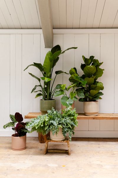 Cache-pot 'Pato', céramique, vert sauge, Ø27 cm