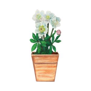 Kaart 3D met envelop, witte bloemen Kaart 3D met envelop, witte bloemen