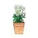 Carte 3D avec enveloppe, fleurs blanches Carte 3D avec enveloppe, fleurs blanches