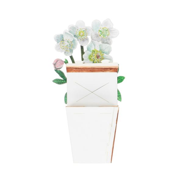 Carte 3D avec enveloppe, fleurs blanches Carte 3D avec enveloppe, fleurs blanches