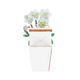 Carte 3D avec enveloppe, fleurs blanches Carte 3D avec enveloppe, fleurs blanches