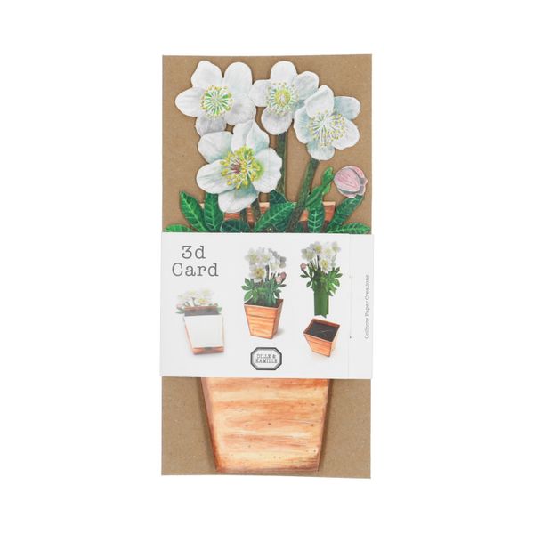Carte 3D avec enveloppe, fleurs blanches Carte 3D avec enveloppe, fleurs blanches
