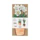 Carte 3D avec enveloppe, fleurs blanches Carte 3D avec enveloppe, fleurs blanches