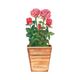 Carte 3D avec enveloppe, roses Carte 3D avec enveloppe, roses