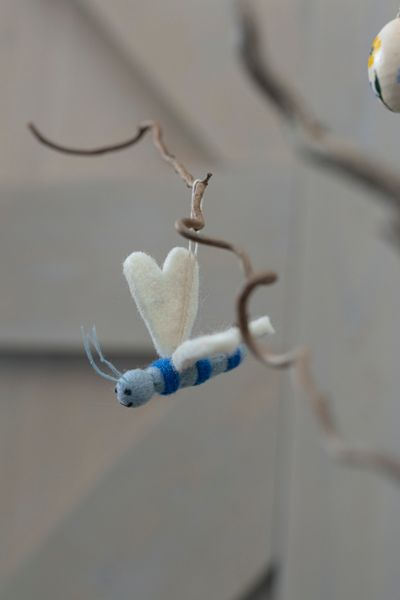 Paashanger libelle, vilt Paashanger libelle, vilt