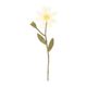 Branche, pâquerette, feutrine, 24 cm Branche, pâquerette, feutrine, 24 cm