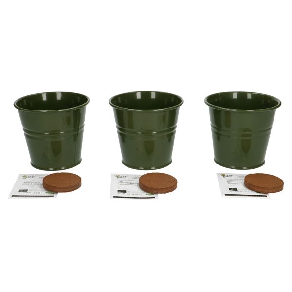 Organic, grow your own herbs, set of three pots