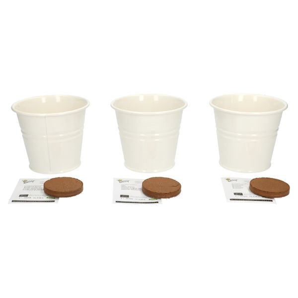 Kweekset theekruiden, biologisch, set van 3 potjes Kweekset theekruiden, biologisch, set van 3 potjes