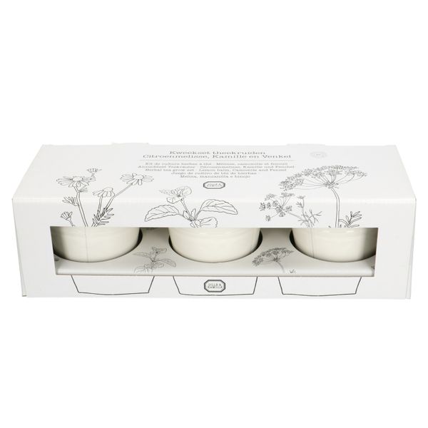 Kweekset theekruiden, biologisch, set van 3 potjes Kweekset theekruiden, biologisch, set van 3 potjes