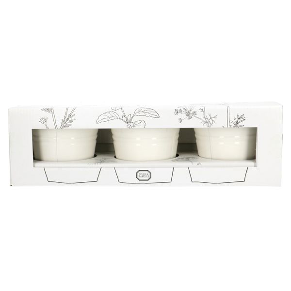 Kweekset theekruiden, biologisch, set van 3 potjes Kweekset theekruiden, biologisch, set van 3 potjes