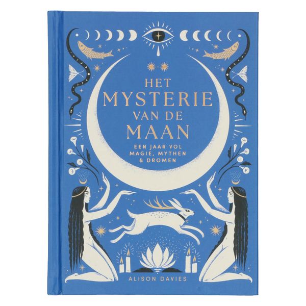 Het mysterie van de maan, Alison Davies