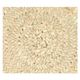 Schaal, palmblad, 2 handvatten, Ø 50 cm x 10 cm Schaal, palmblad, 2 handvatten, Ø 50 cm x 10 cm