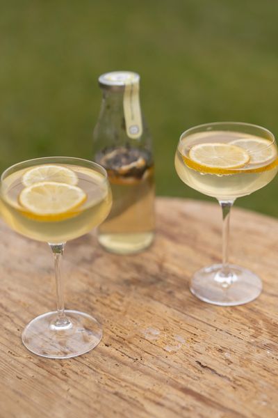 Mélange pour spritz au limoncello, biologique, 8,7 g