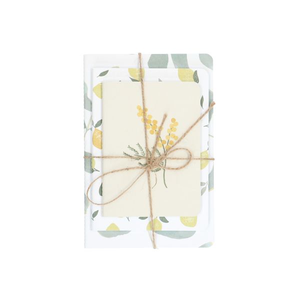 Set of exercise books, leaf, lemon and mimosa