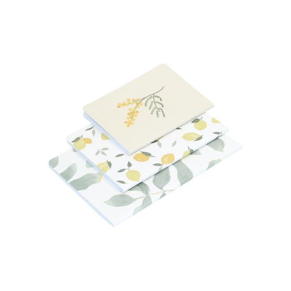 Set of exercise books, leaf, lemon and mimosa