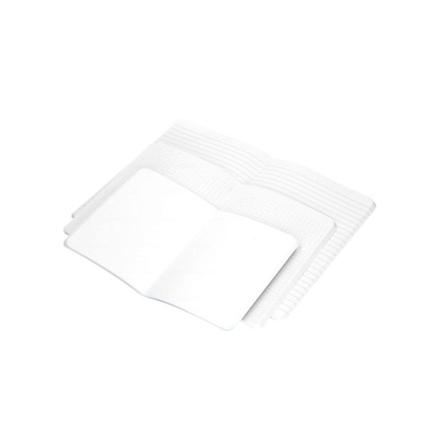 Setje schriften, blad, citroen en mimosa Setje schriften, blad, citroen en mimosa