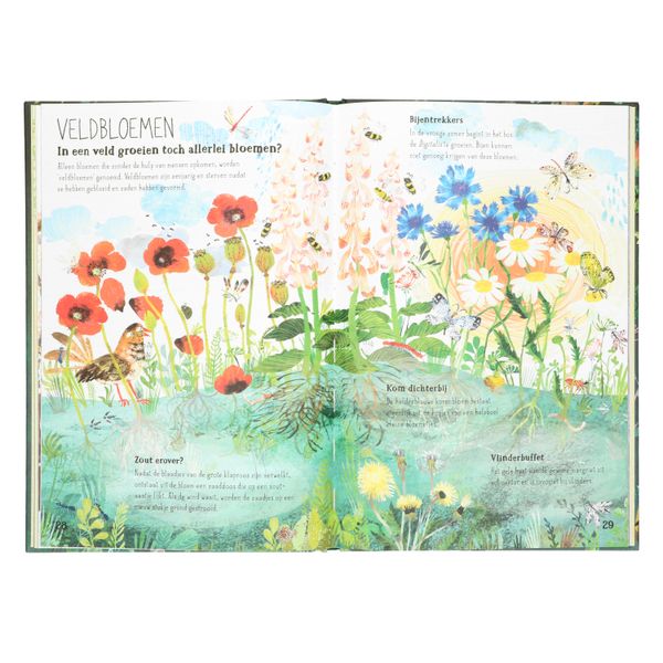Het Briljante Bloemen Boek, Yuval Zommer Het Briljante Bloemen Boek, Yuval Zommer