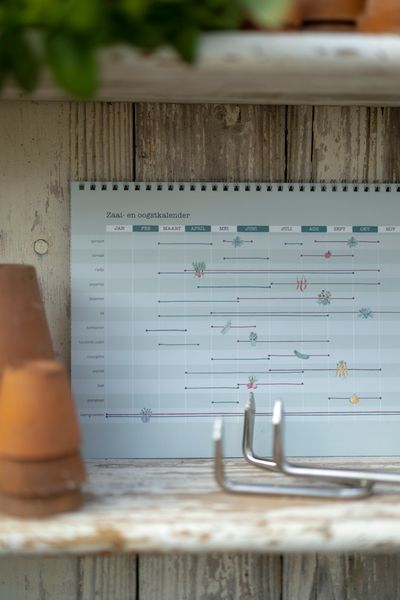 Oogstkalender, Dille & Kamille