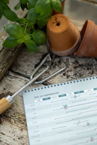 Oogstkalender, Dille & Kamille