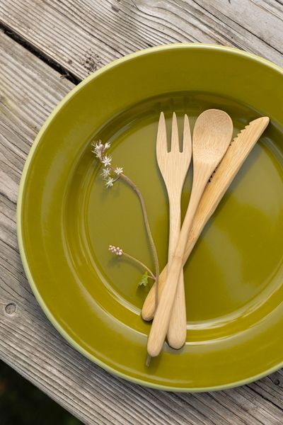 Plate, enmal, olive green with light-green rim, Ø26 CM