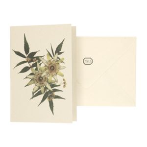 Card with envelope, passion flower