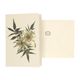 Card with envelope, passion flower