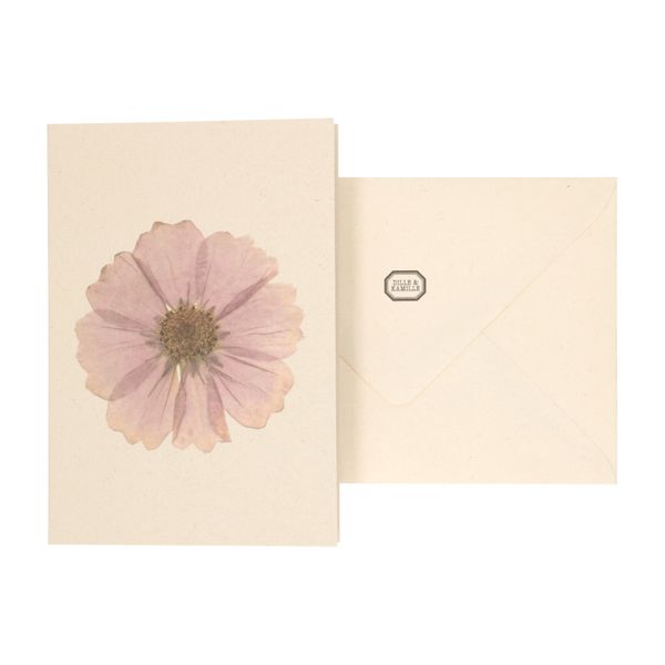 Kaart met envelop, cosmos