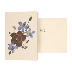 Kaart met envelop, ridderspoor Kaart met envelop, ridderspoor