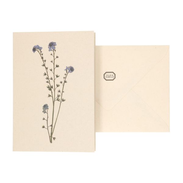 Kaart met envelop, vergeet-me-nietje