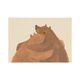 Carte, nounours Carte, nounours