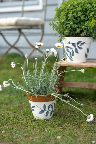 Flowerpot, terracotta, blue leaf silhouette, Ø 17 cm