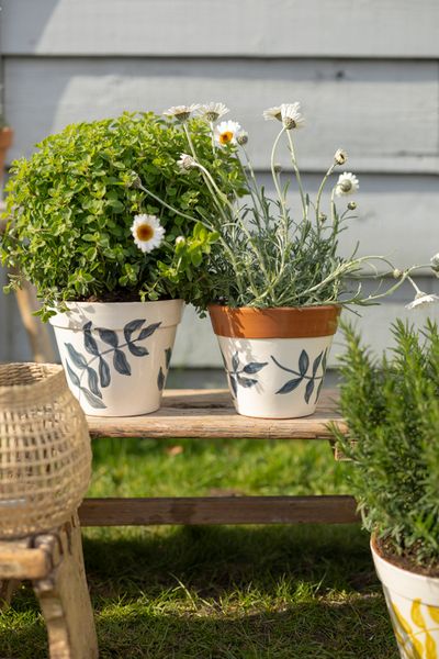 Flowerpot, terracotta, blue leaf silhouette, Ø 17 cm