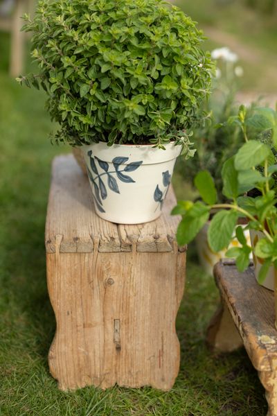 Flowerpot, terracotta, blue leaf silhouette, Ø 19 cm