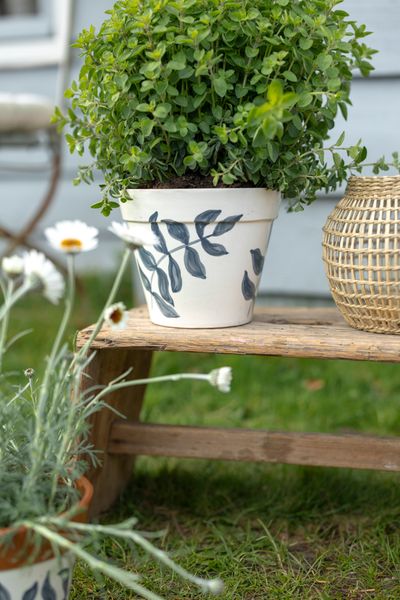 Flowerpot, terracotta, blue leaf silhouette, Ø 19 cm