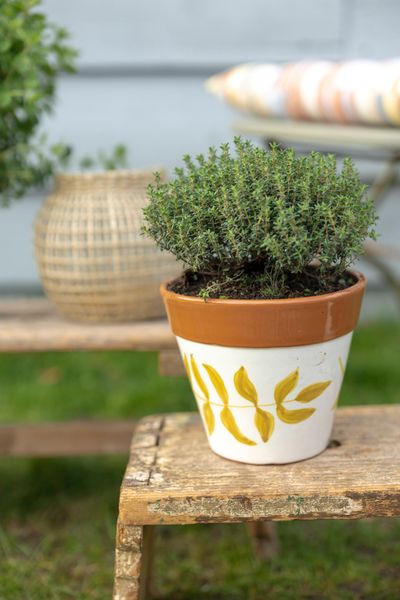 Flowerpot, terracotta, blue leaf silhouette, Ø 17 cm