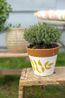 Flowerpot, terracotta, blue leaf silhouette, Ø 17 cm